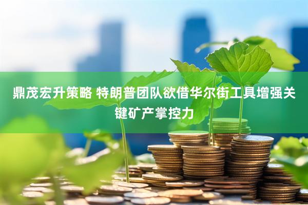鼎茂宏升策略 特朗普团队欲借华尔街工具增强关键矿产掌控力