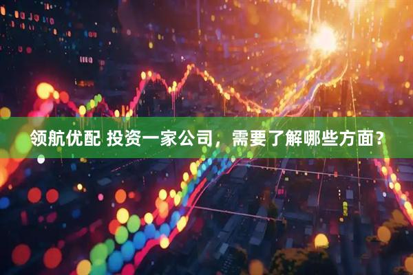 领航优配 投资一家公司，需要了解哪些方面？