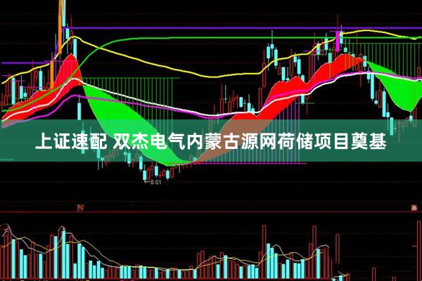 上证速配 双杰电气内蒙古源网荷储项目奠基